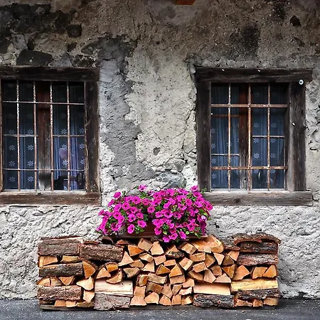 Regia *