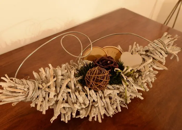 Regia * 보도 카도레